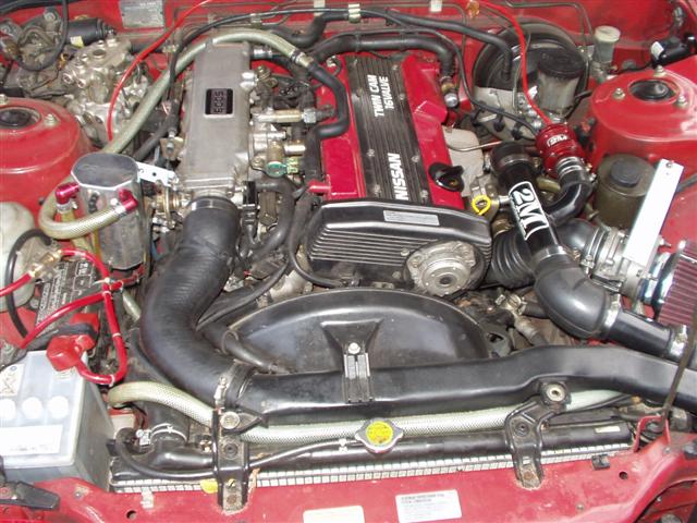 PB080018 (Small).JPG