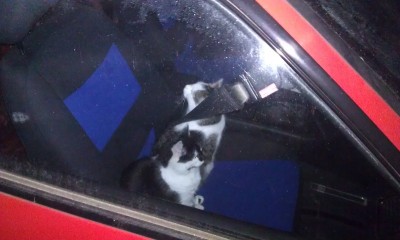 A pasażera to pasy nie obowiązują?!