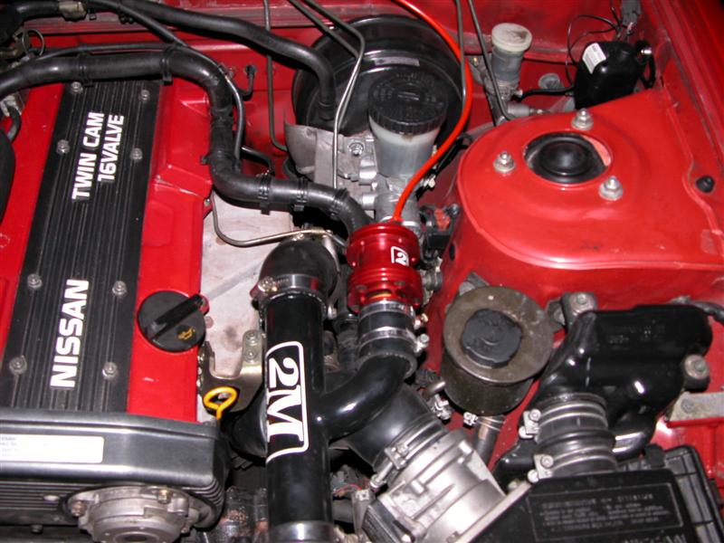 BOV (2) (Medium).JPG