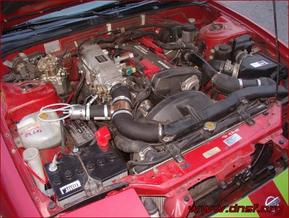 S13GR bov.jpg
