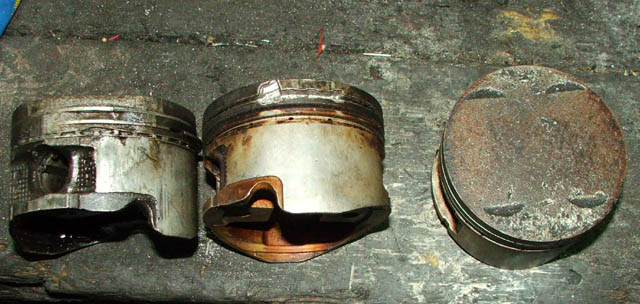 Jeden Rottiego jeden mój po złamanym pierścieniu a rdugi dostał jakieś śmieci do cylindra